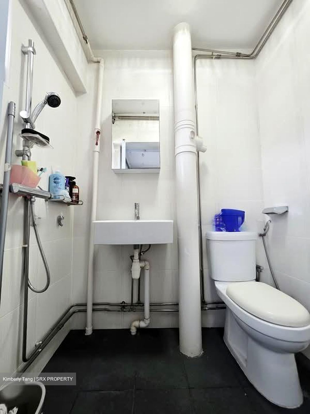 Blk 109 Sunset Way Residence (Clementi), HDB 3 Rooms #560944781